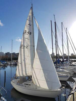 Drying out the Sails Foto: Andrew Clelland