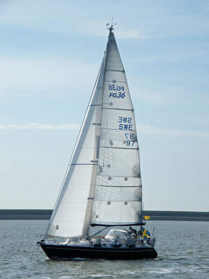 Finngulf 36