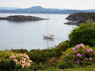 Scanmar 345 - Rongesundet -West coast of Norway Foto: Roald Atle Furre